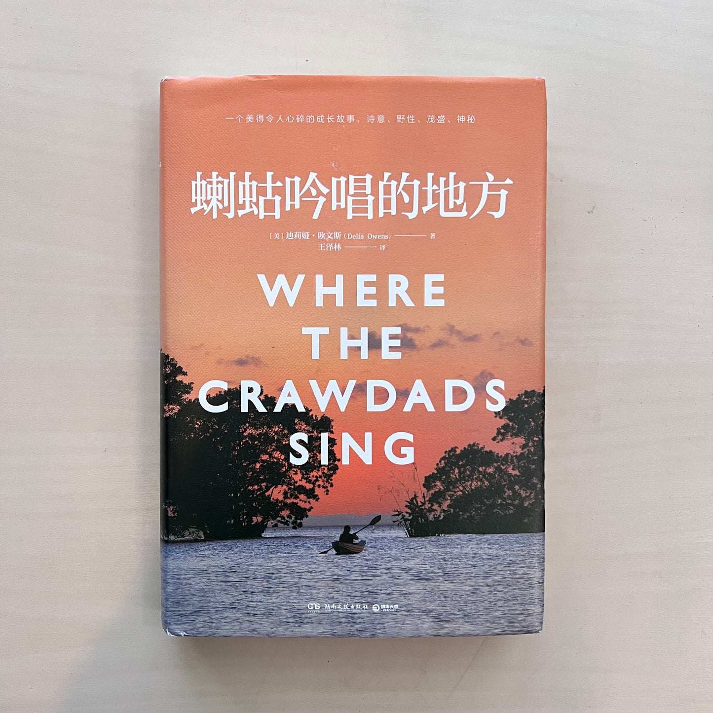 蝲蛄吟唱的地方【九成新】