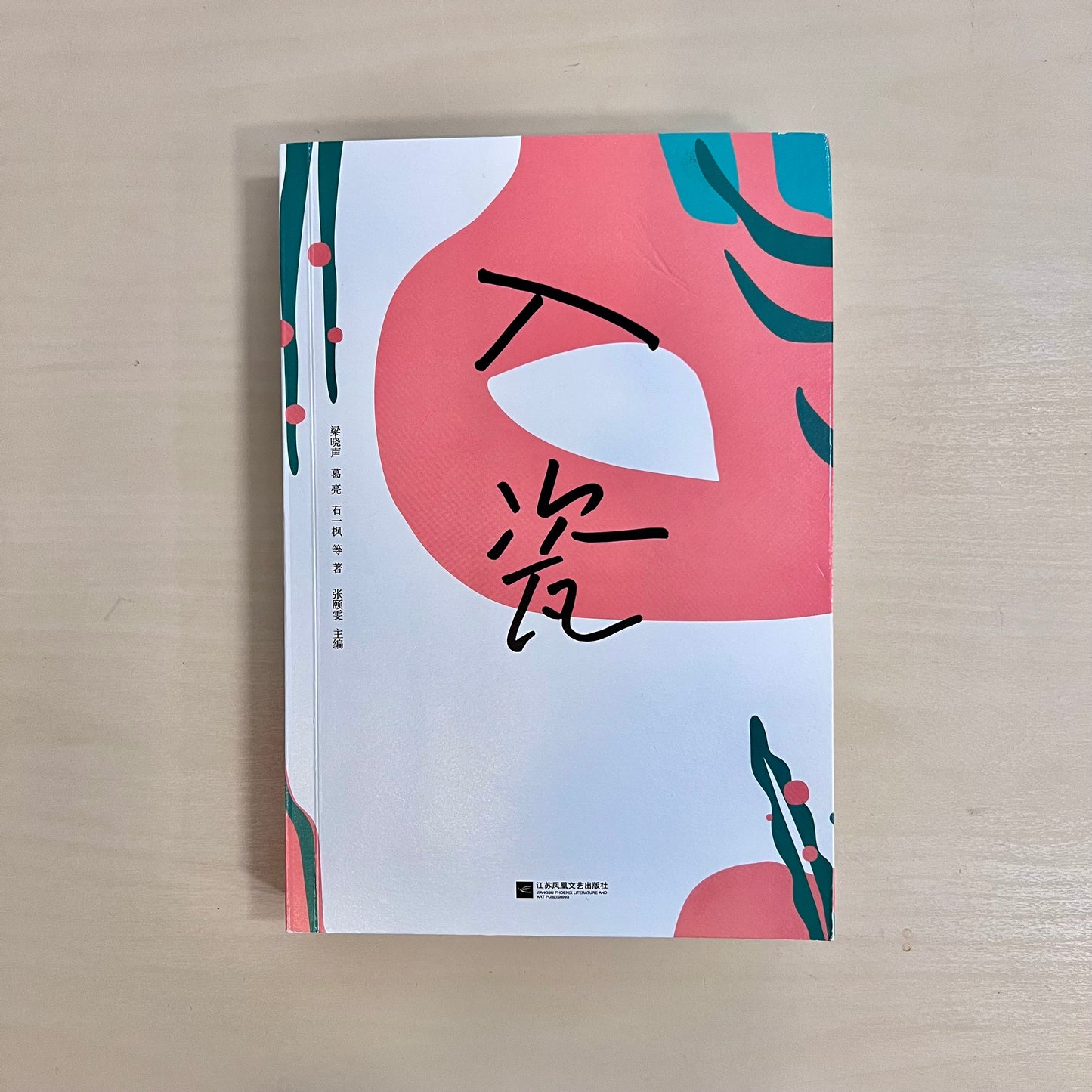 入瓷【九成新】