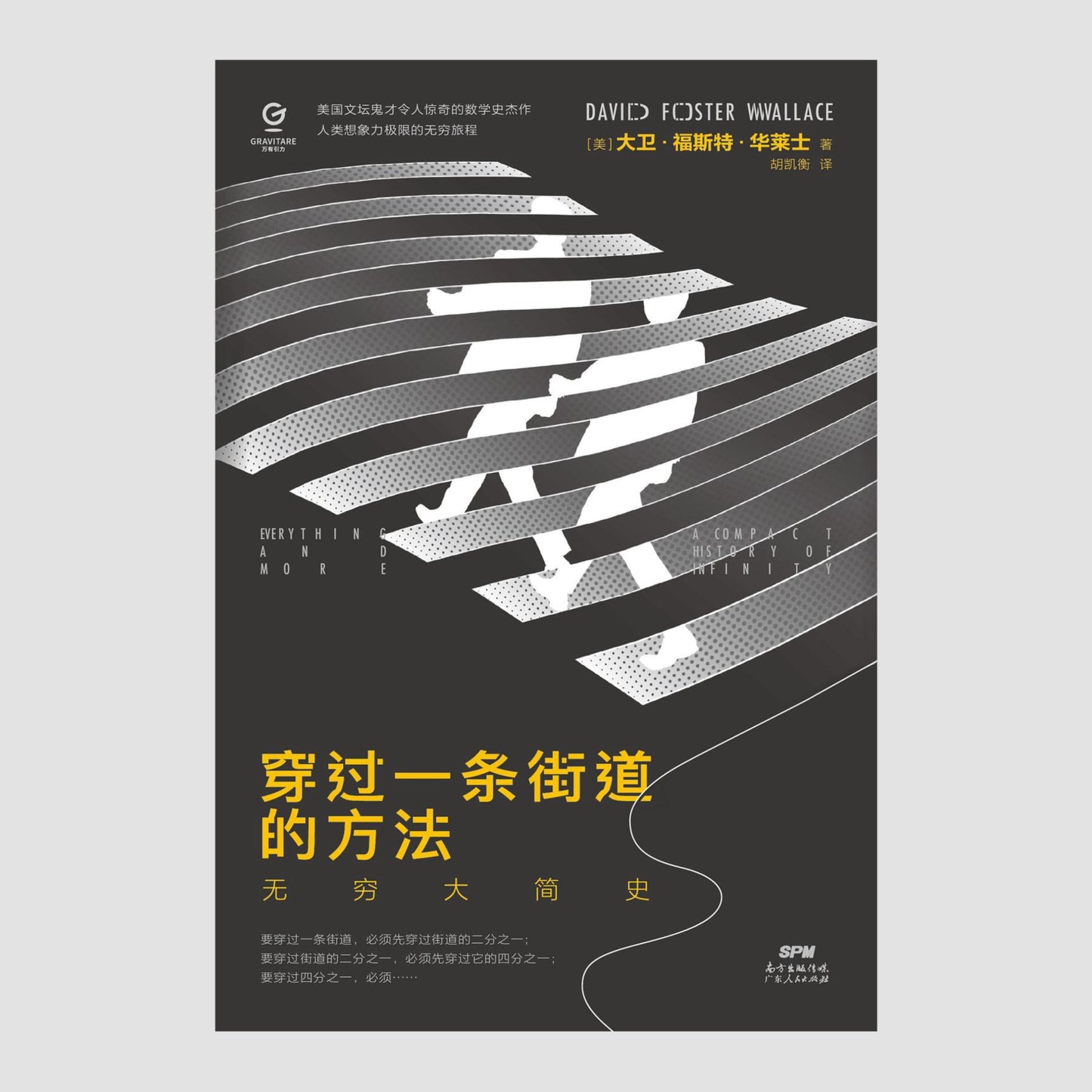 穿过一条街道的方法 : 无穷大简史