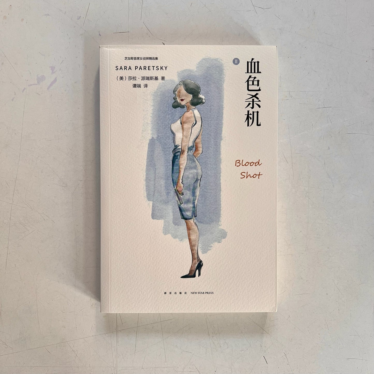 芝加哥首席女侦探精选集:血色杀机【九成新】