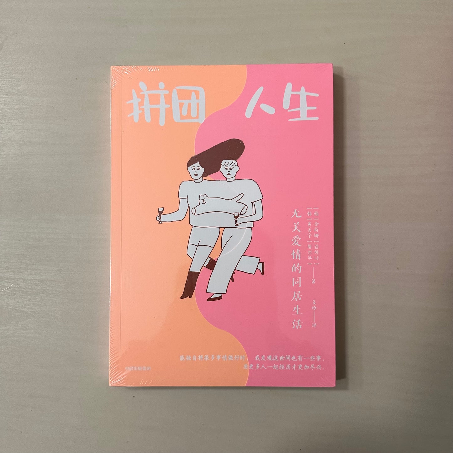 拼团人生:无关爱情的同居生活