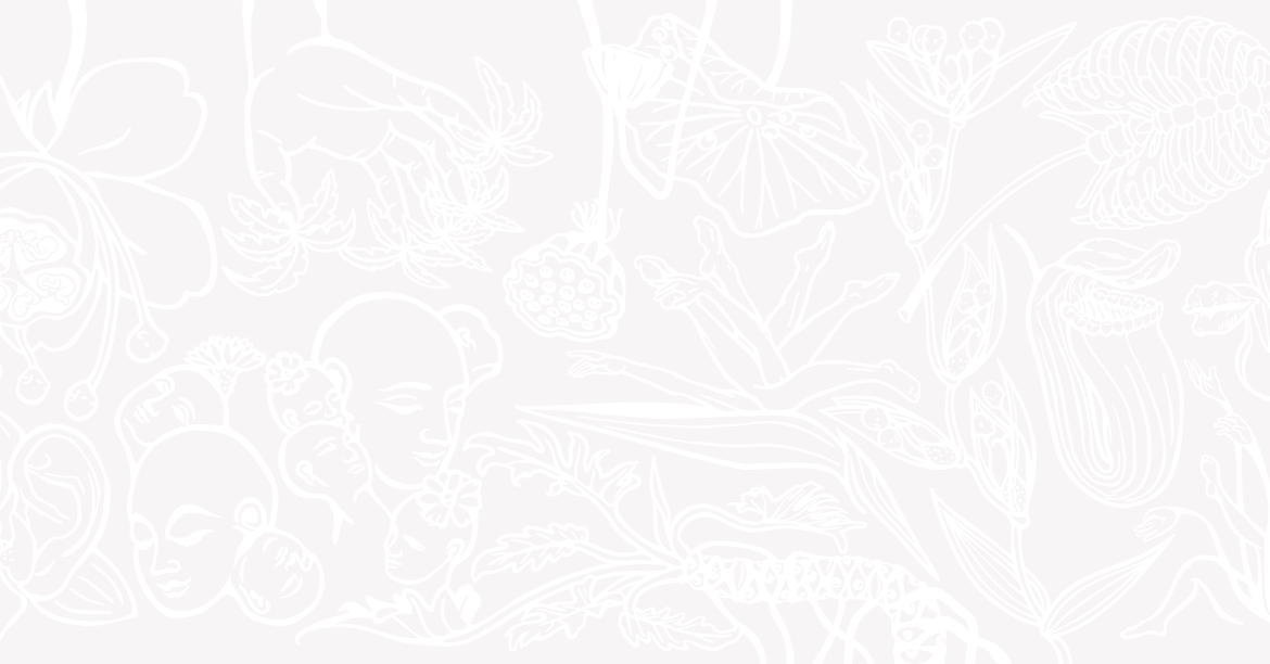 雨燕Apus Vol. 02 共生