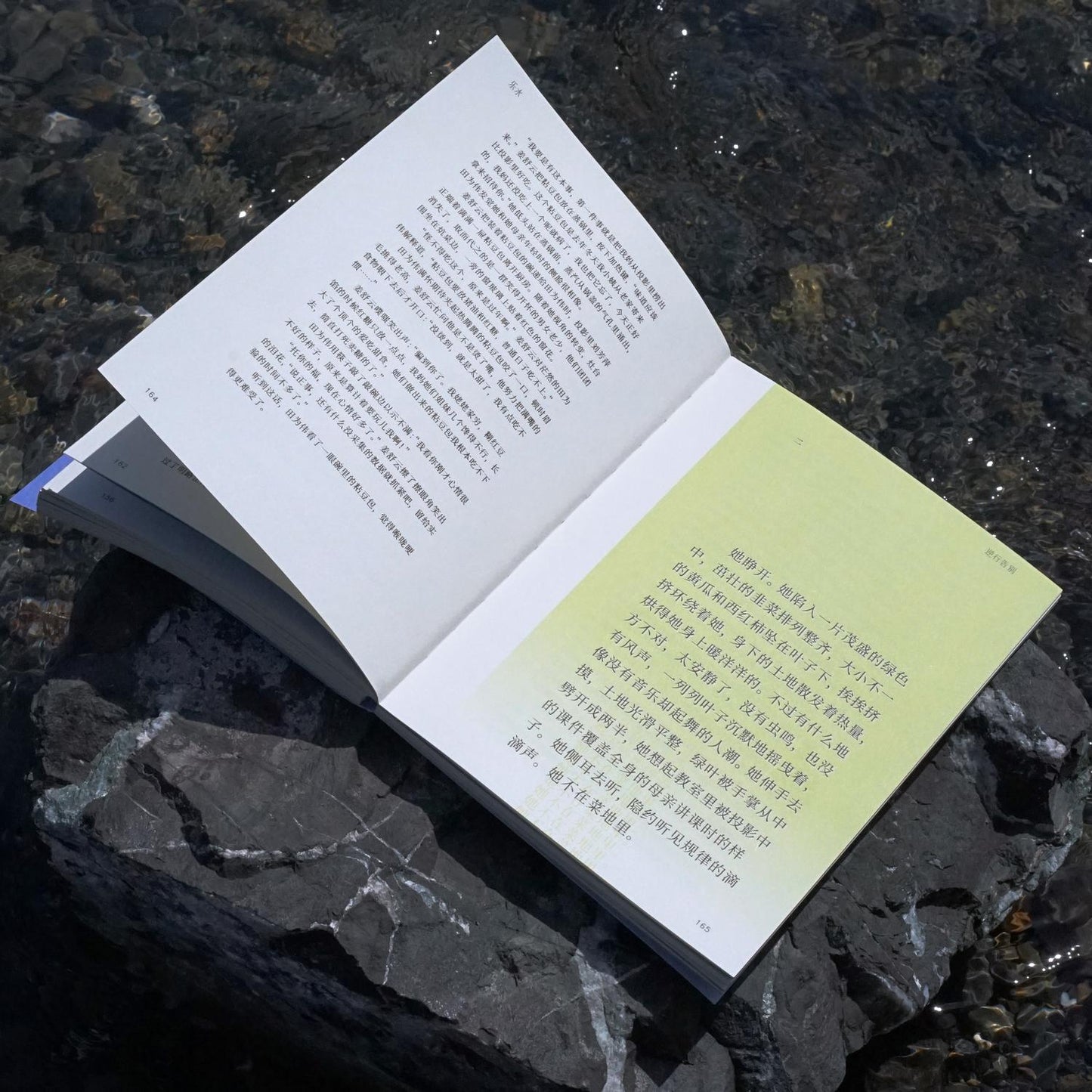 雨燕Apus Vol. 01 时间