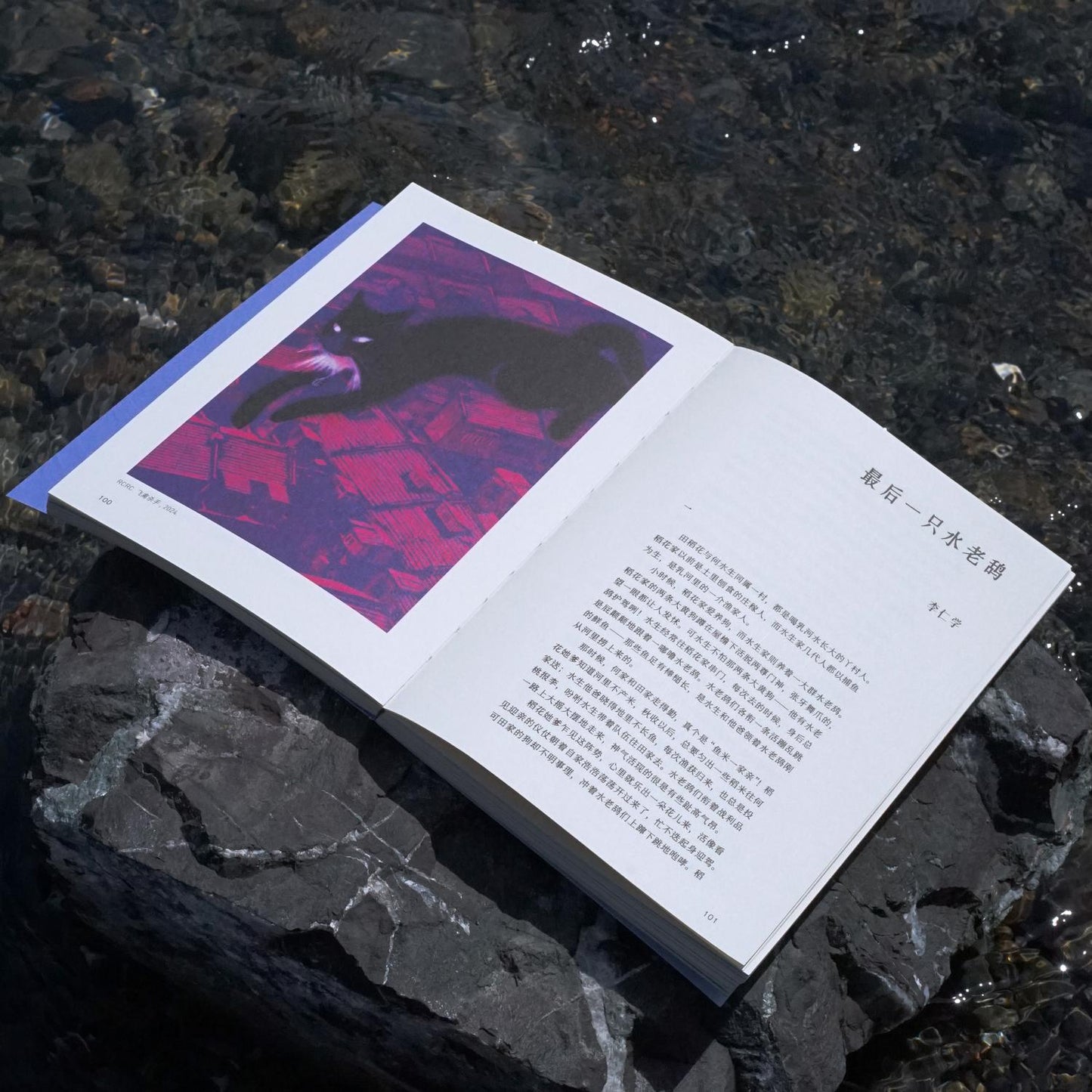 雨燕Apus Vol. 01 时间