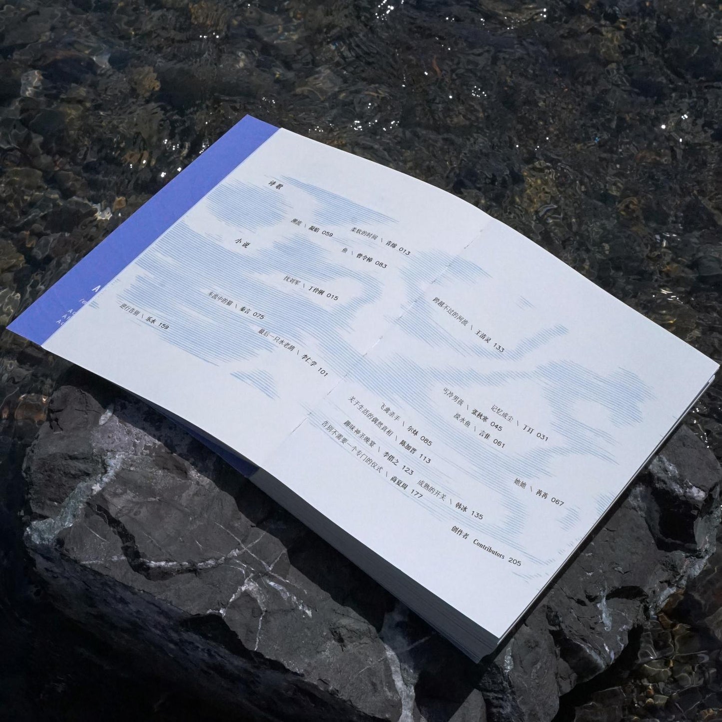 雨燕Apus Vol. 01 时间