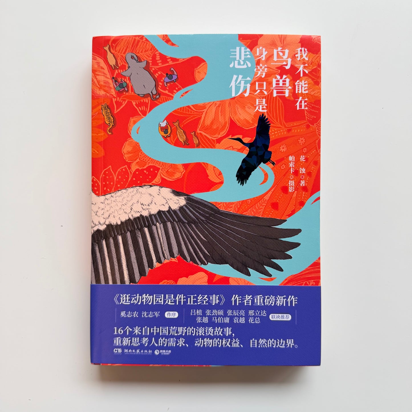 我不能在鸟兽身旁只是悲伤