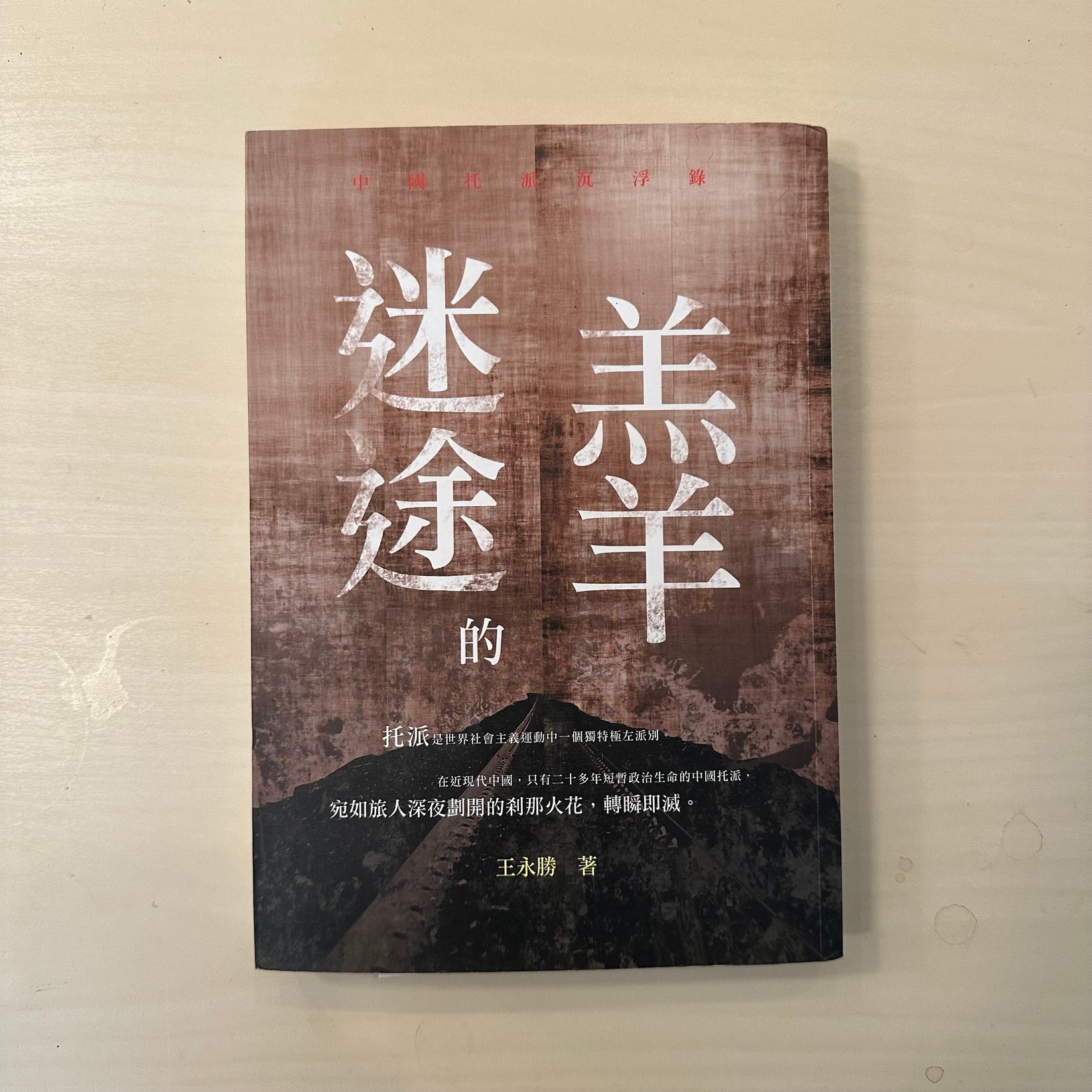 迷途的羔羊:中国托派沉浮录【繁体竖排版】 – Ferry Books 野渡书店