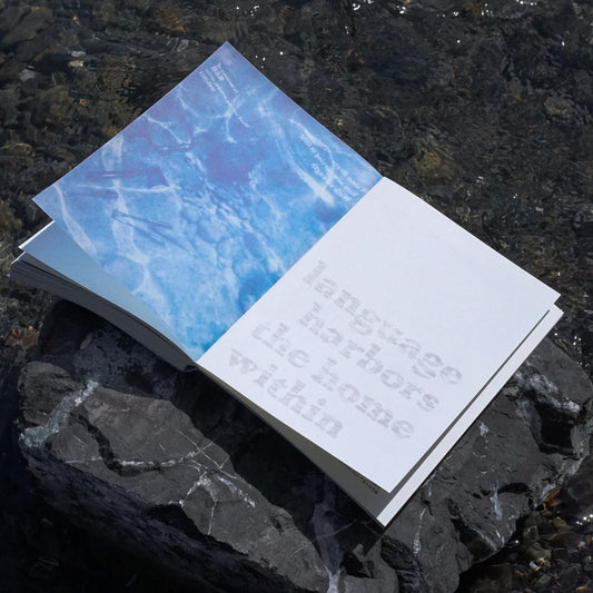雨燕Apus Vol. 01 时间